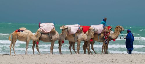 travel highlights Tunisia
